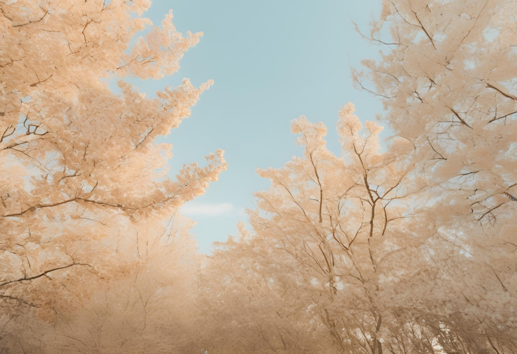 Cozy winter scene with natural views of the sky.